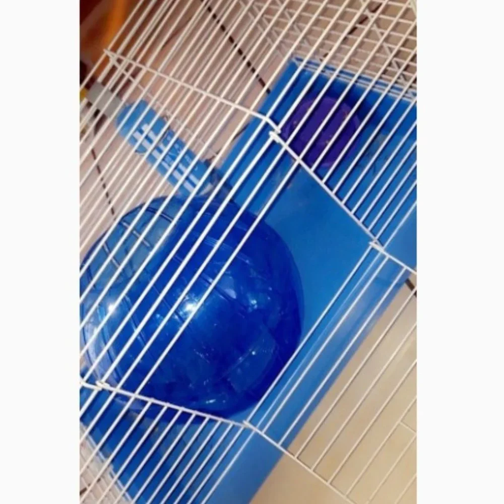 Rabbit Cage